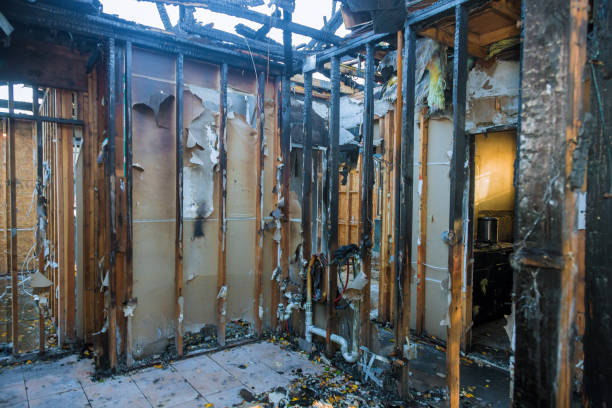 Professional Fire Damage Repair technician working in Mantua, VA